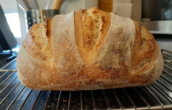 LIght Rye Batard